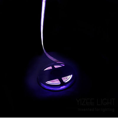 RGB RGBW Adresable Led Strip 784 Chips/M 24V 12mm